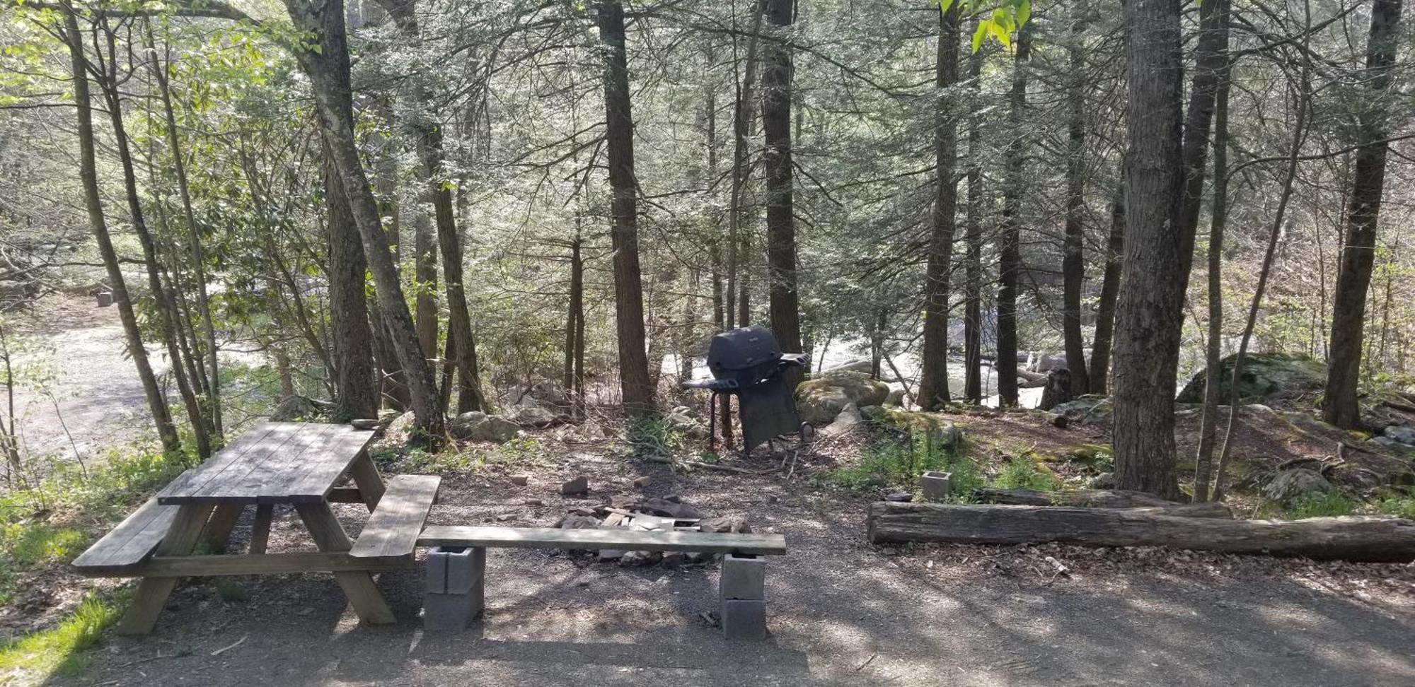 Abrams Creek Campground Mount Storm ภายนอก รูปภาพ