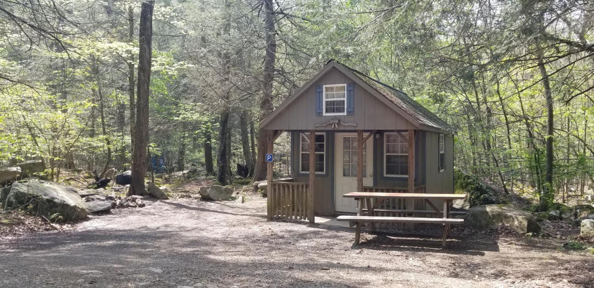 Abrams Creek Campground Mount Storm ภายนอก รูปภาพ