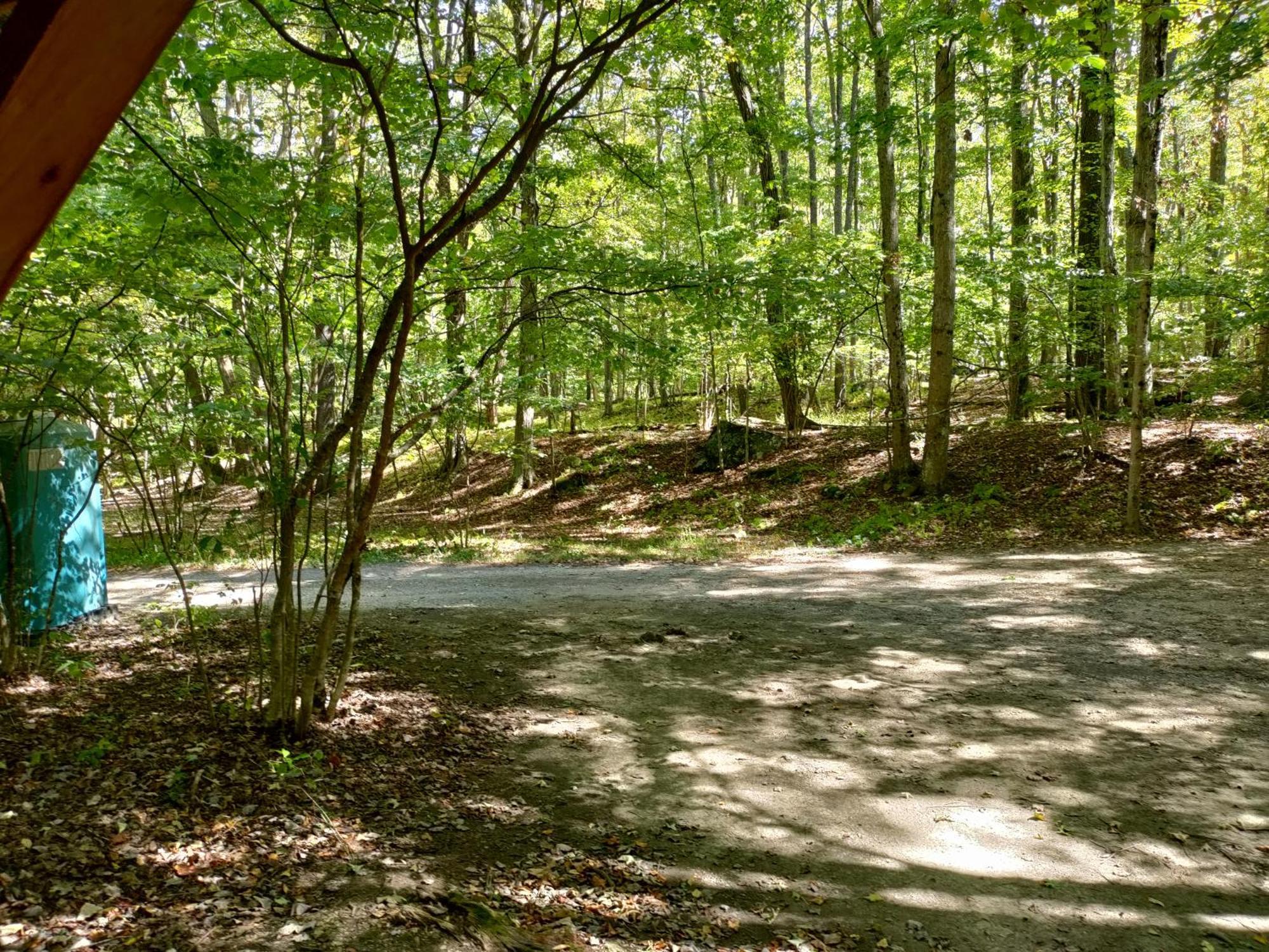 Abrams Creek Campground Mount Storm ภายนอก รูปภาพ
