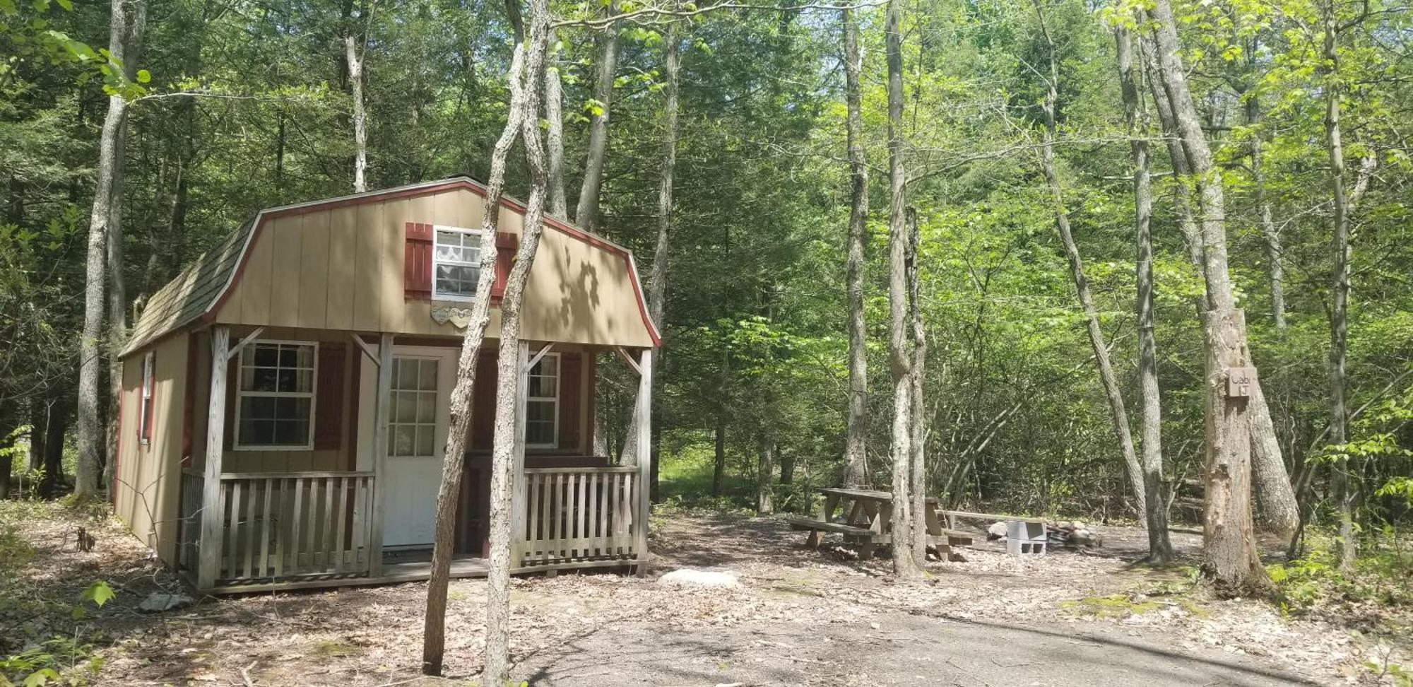 Abrams Creek Campground Mount Storm ภายนอก รูปภาพ