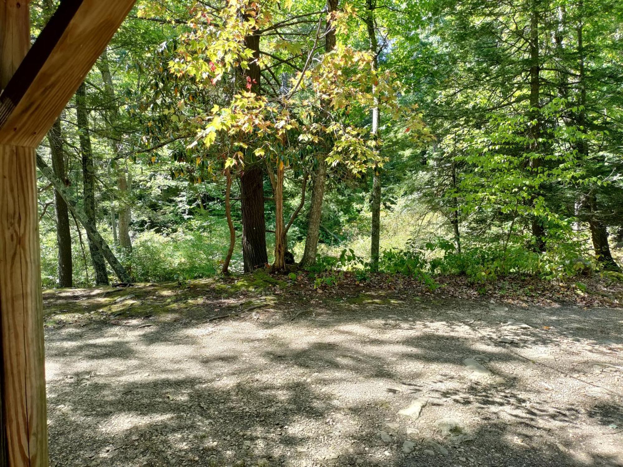 Abrams Creek Campground Mount Storm ภายนอก รูปภาพ