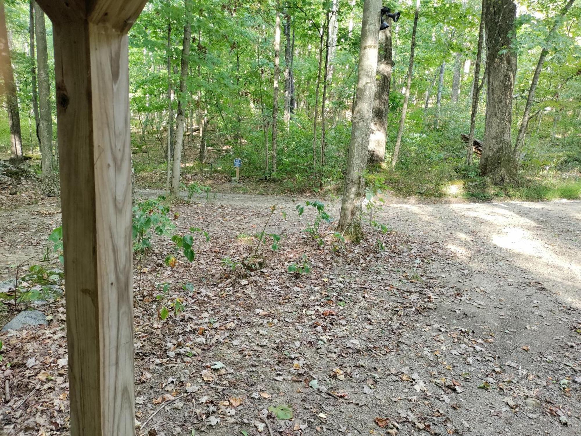 Abrams Creek Campground Mount Storm ภายนอก รูปภาพ